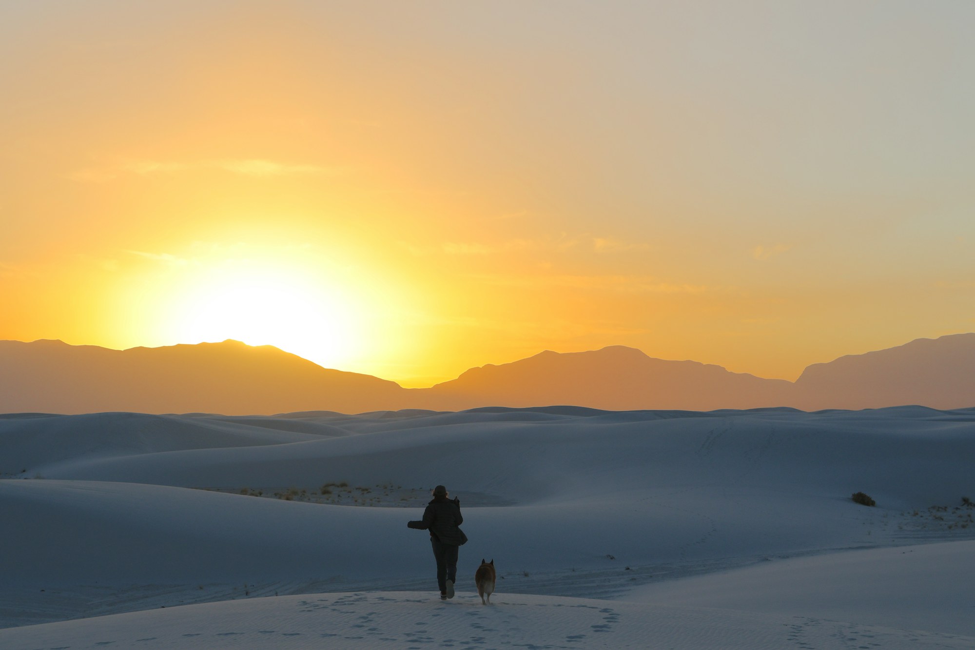 A person and their dog walking across desert dunes toward a golden sunset