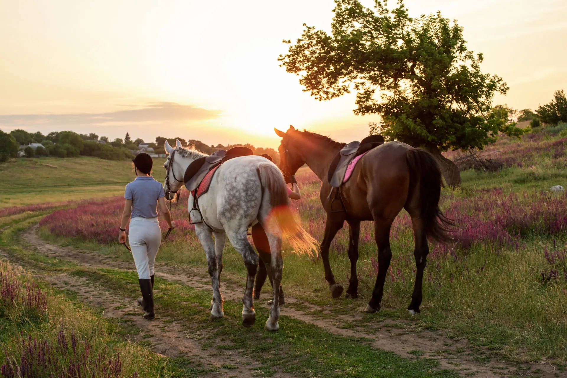 Woman with 2 Horses
