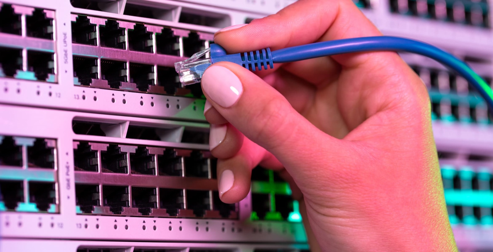 The hardware behind the network
