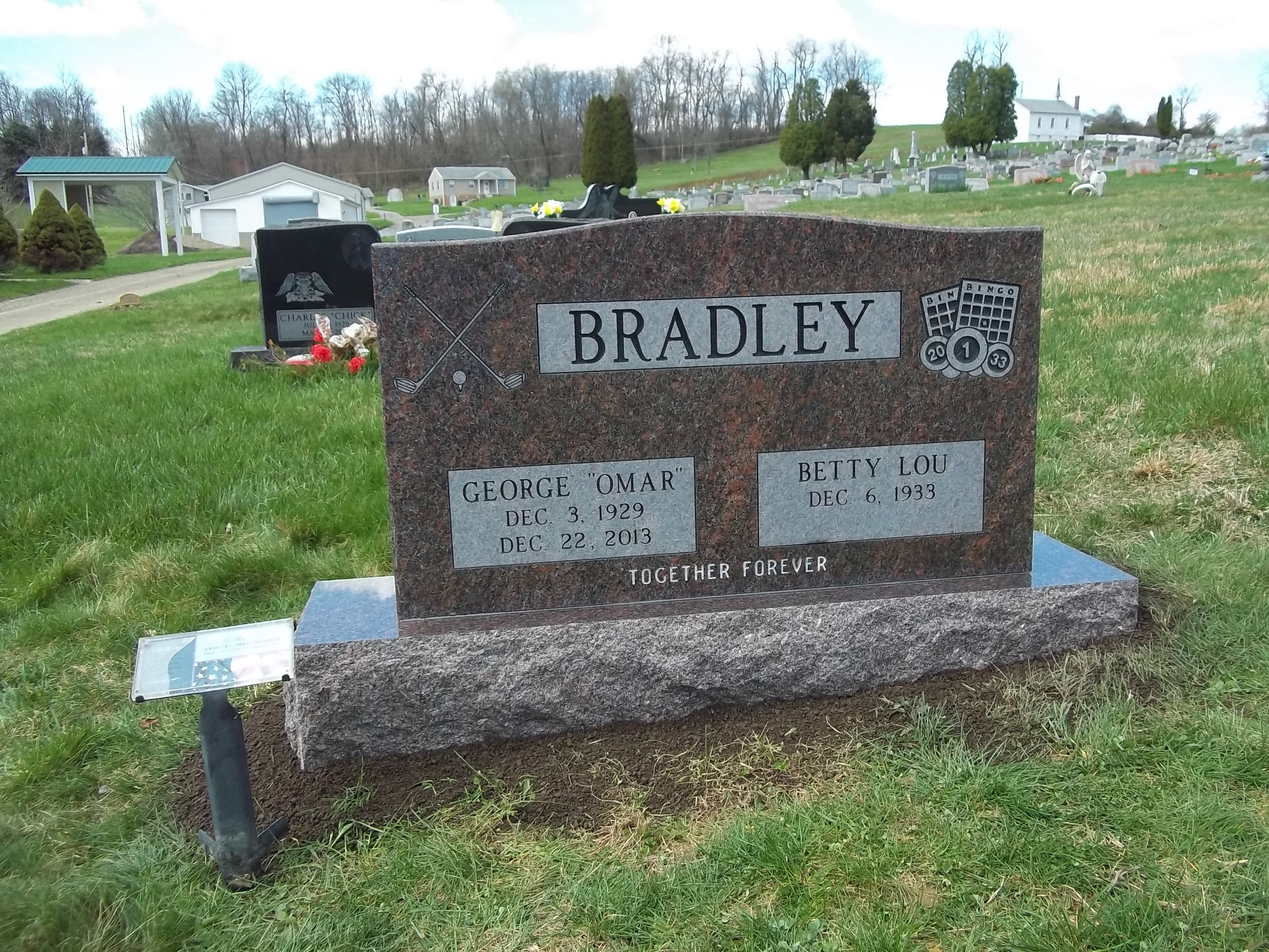 Sandblasted lettering and carving on red granite