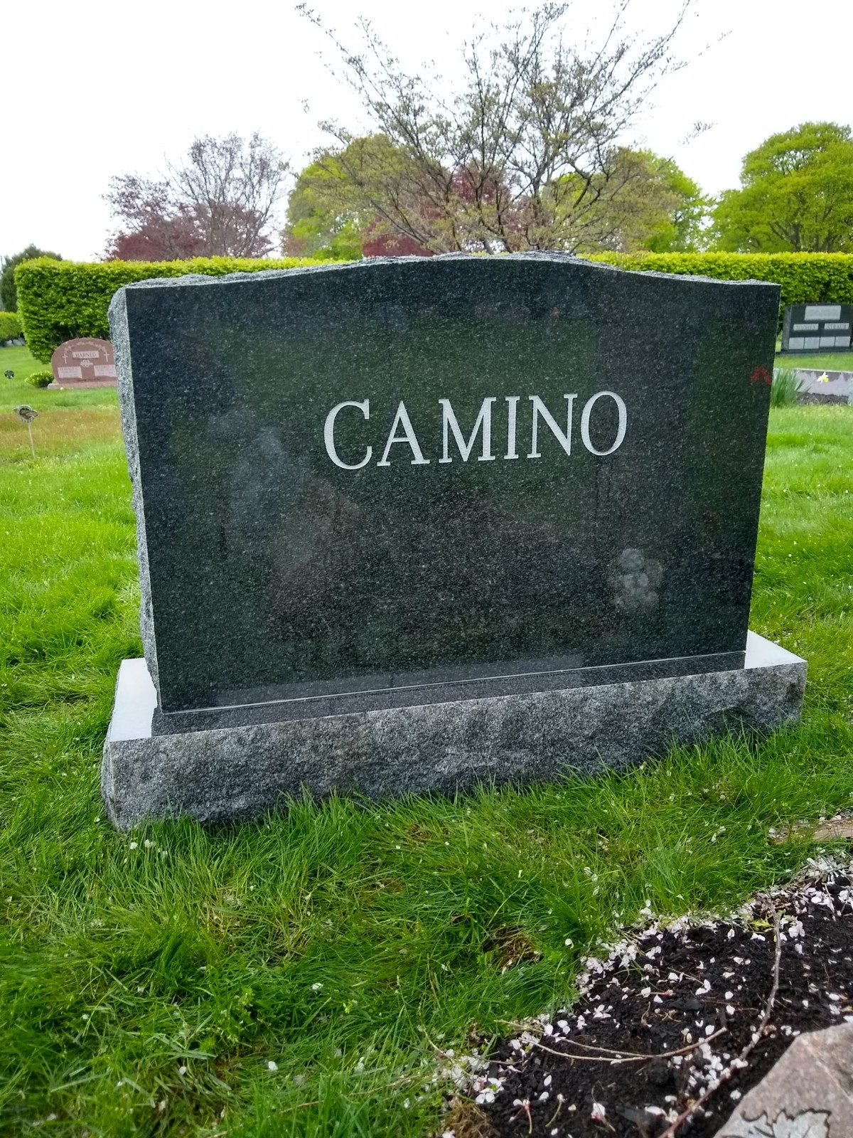 Dark granite upright monument with a single family name