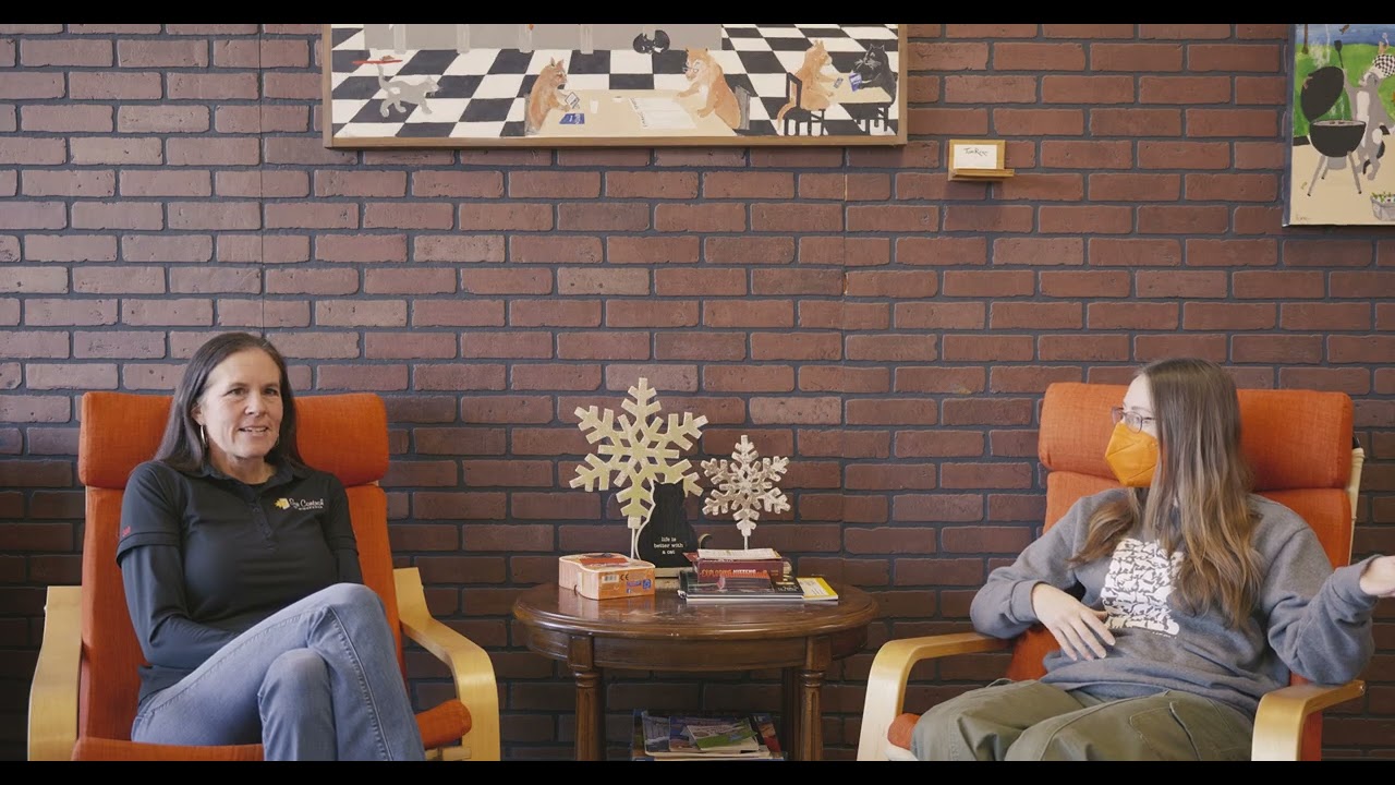 The Minnesota Cat Cafe You Need to Visit | Jessica Burge, Cafe Meow #007