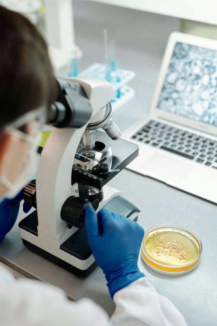 Scientist wearing blue gloves looking through a microscope with a petri dish and a laptop displaying a magnified image on a lab table.