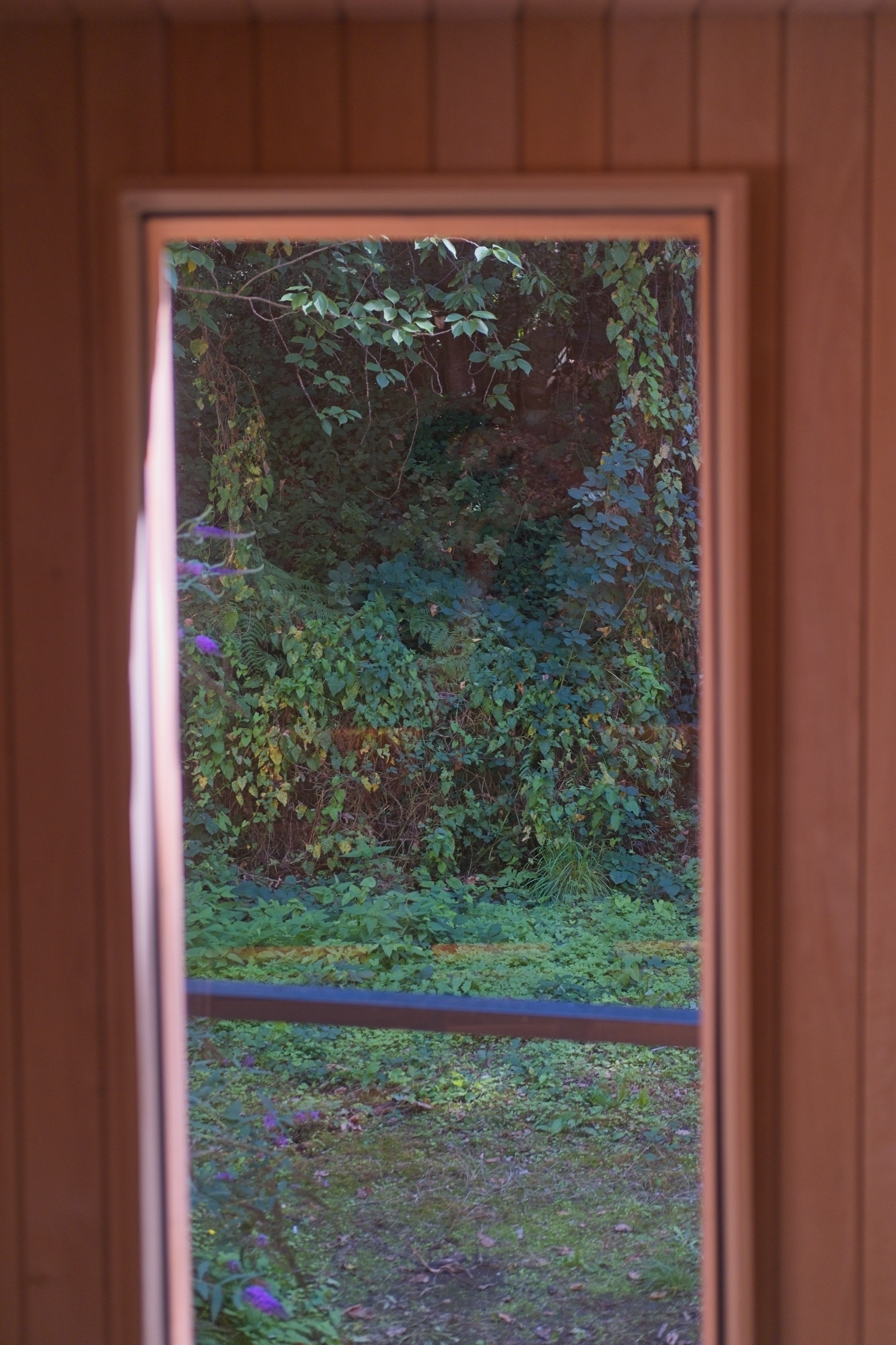 Alder-lined interior of a 20-person community sauna