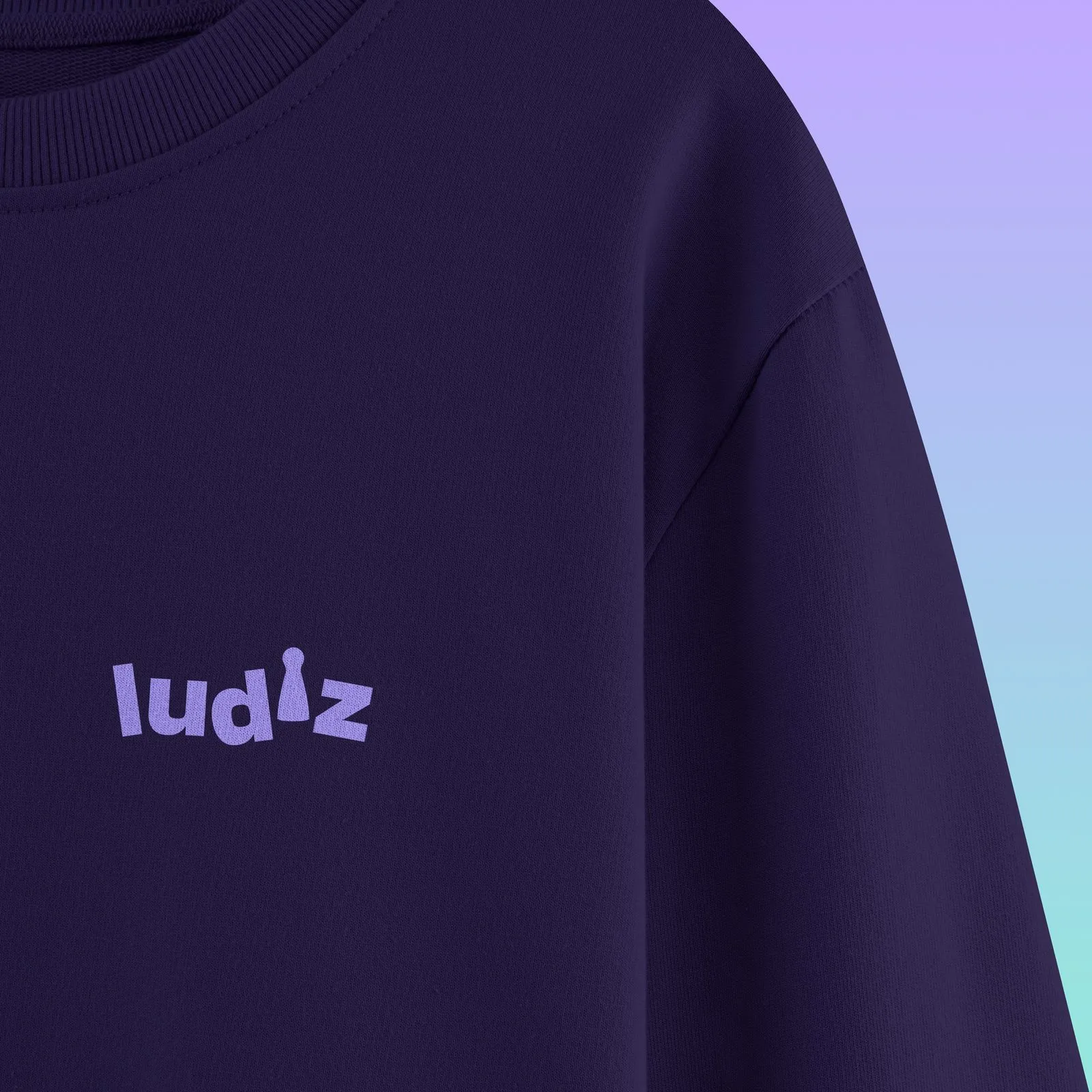 Ludiz — sweatshirt
