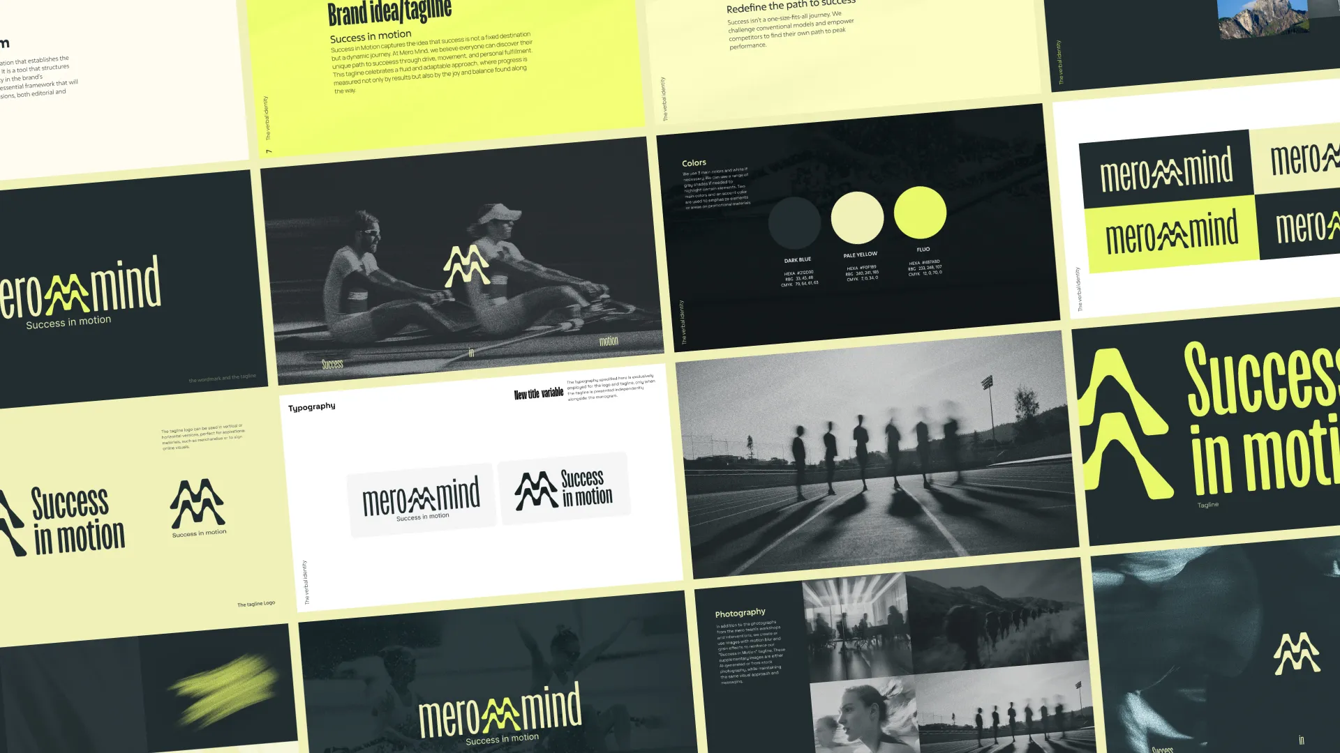 Meromind — charte graphique
