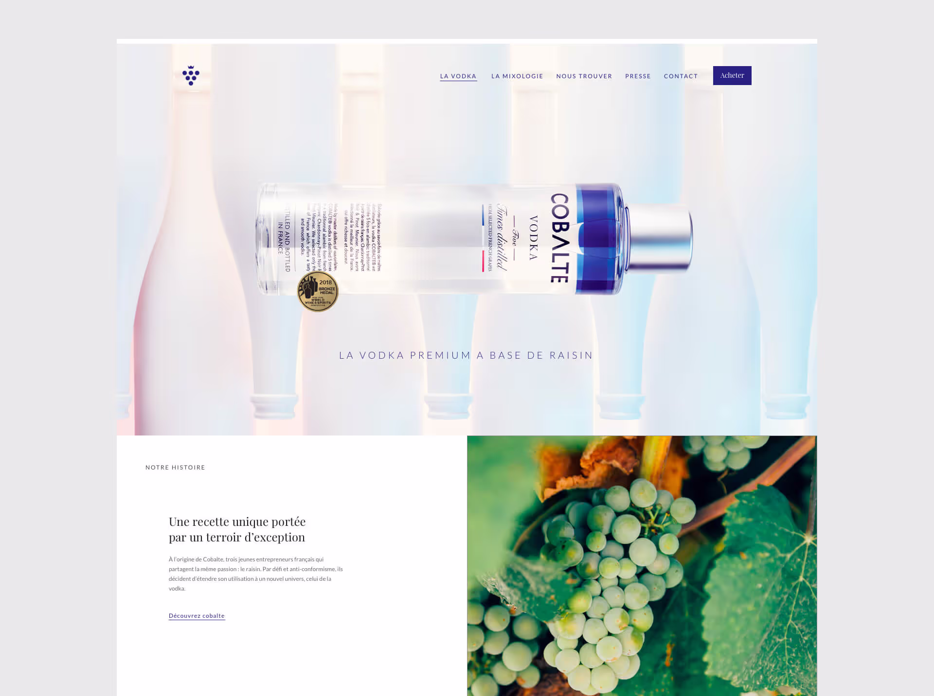 Cobalte Vodka — webdesign