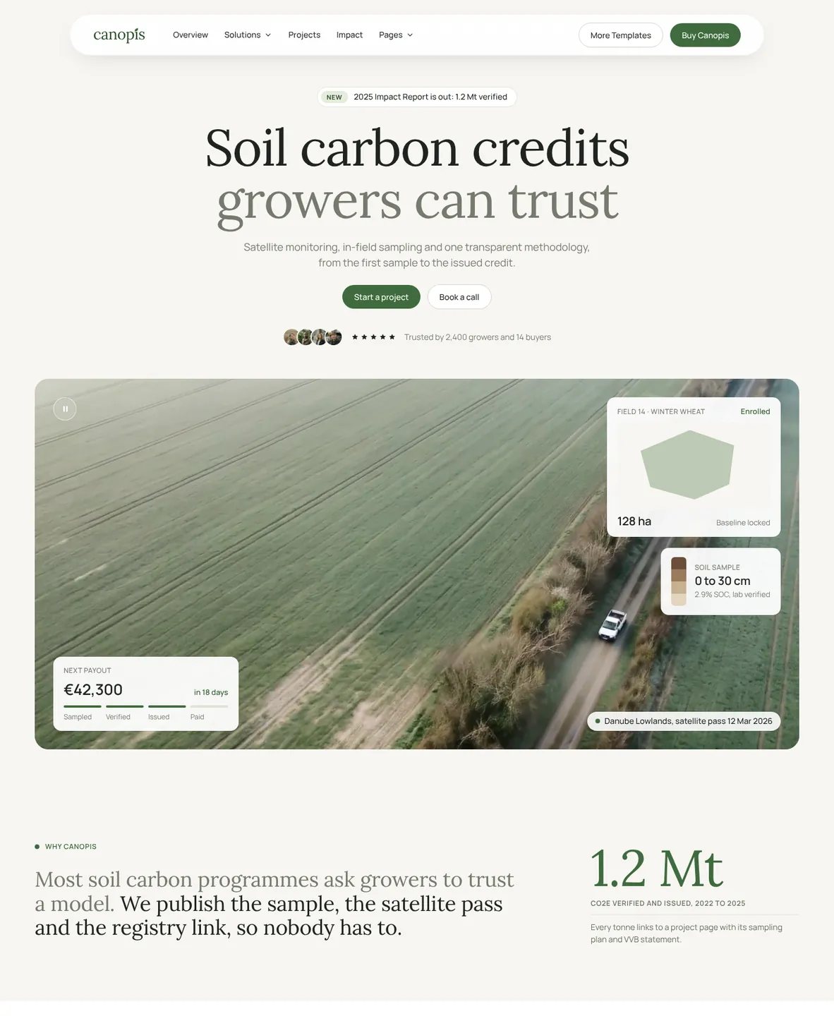 Canopis Webflow template, Home 2 page