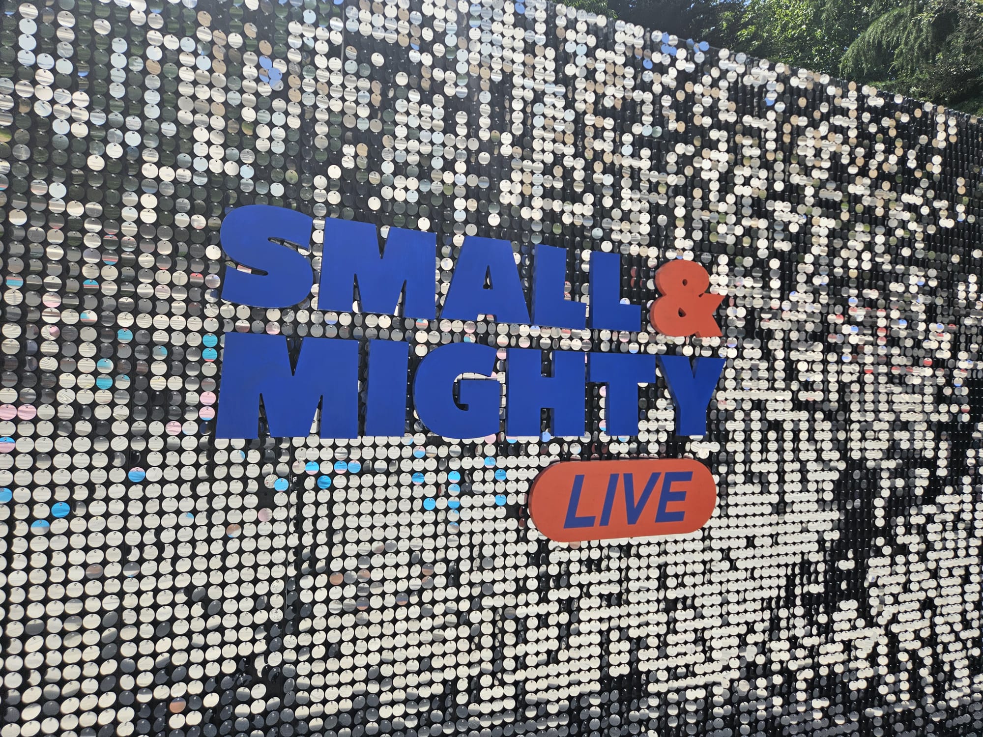 Money Live glitter wall backdrop