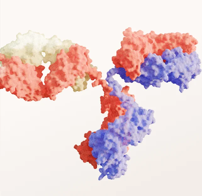 A render of an antibody