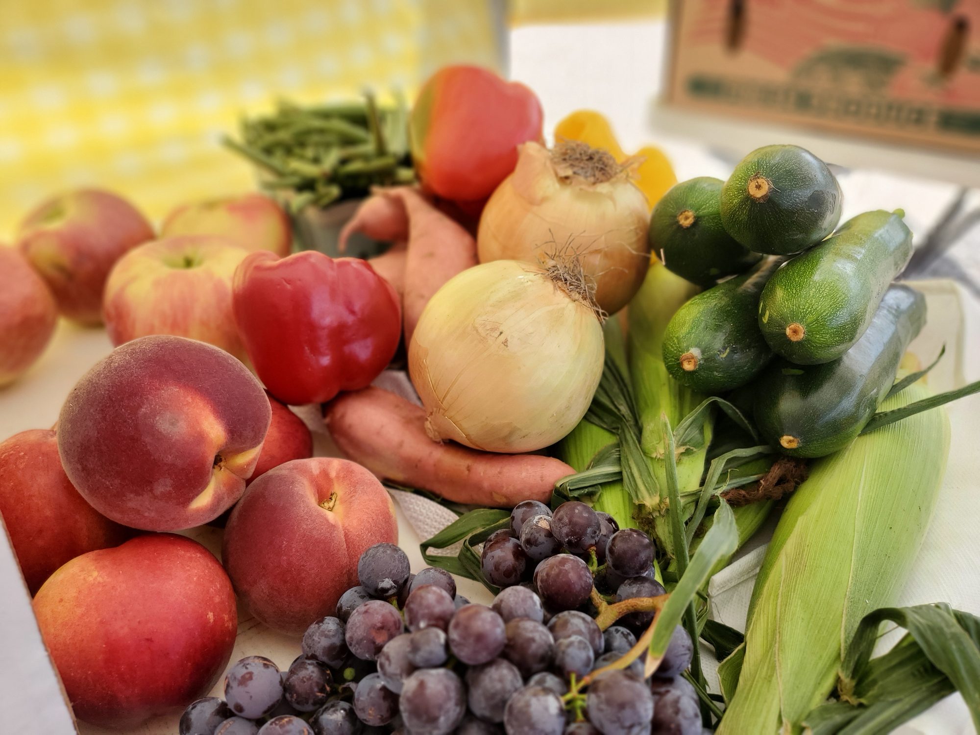 An August Milk Lady CSA box of peaches, apples, an onion, cucumbers, sweet corn, sweet potatoes and grapes