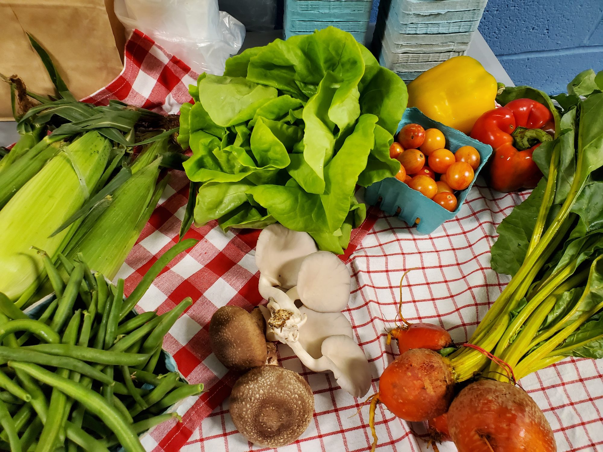 A close view of a Milk Lady CSA share with butter lettuce, golden beets, oyster mushrooms, corn and cherry tomatoes