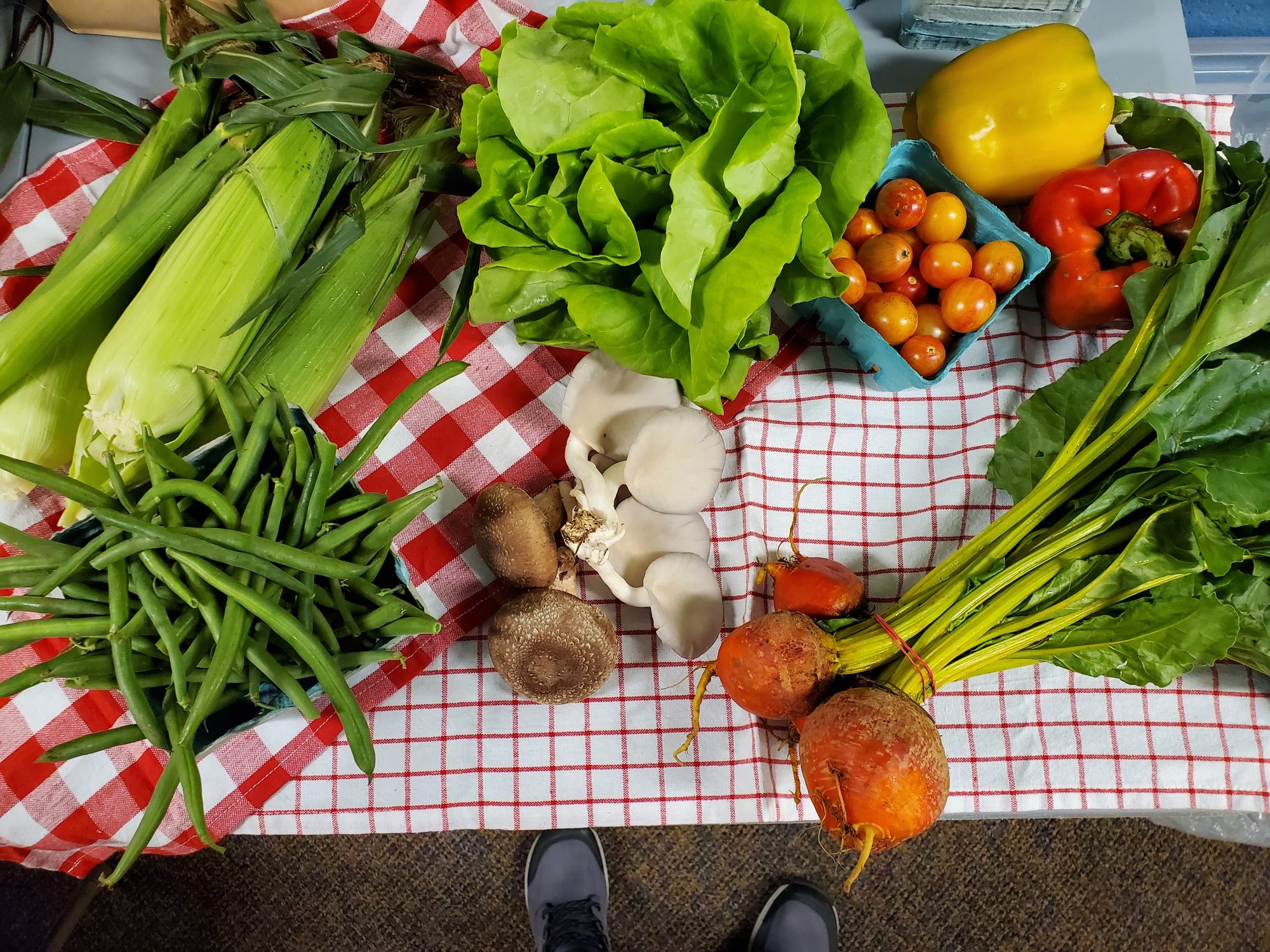 A September Milk Lady CSA share of sweet corn, green beans, lettuce, cherry tomatoes, peppers, mushrooms and beets