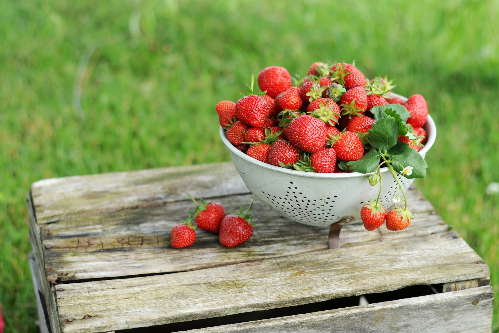 Fresh strawberries in a bowl on a wooden crate