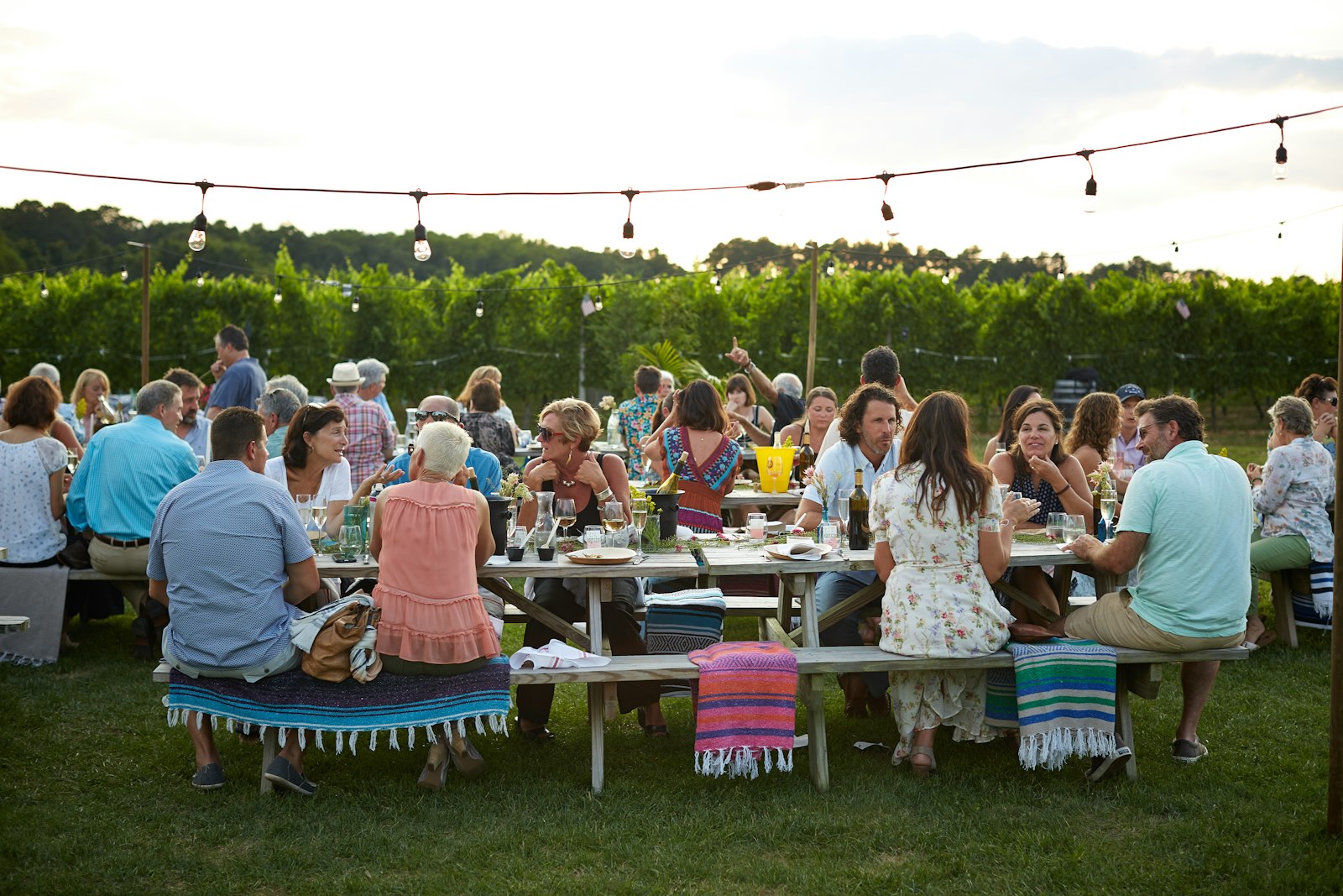 People gathered at a long outdoor table on the grass