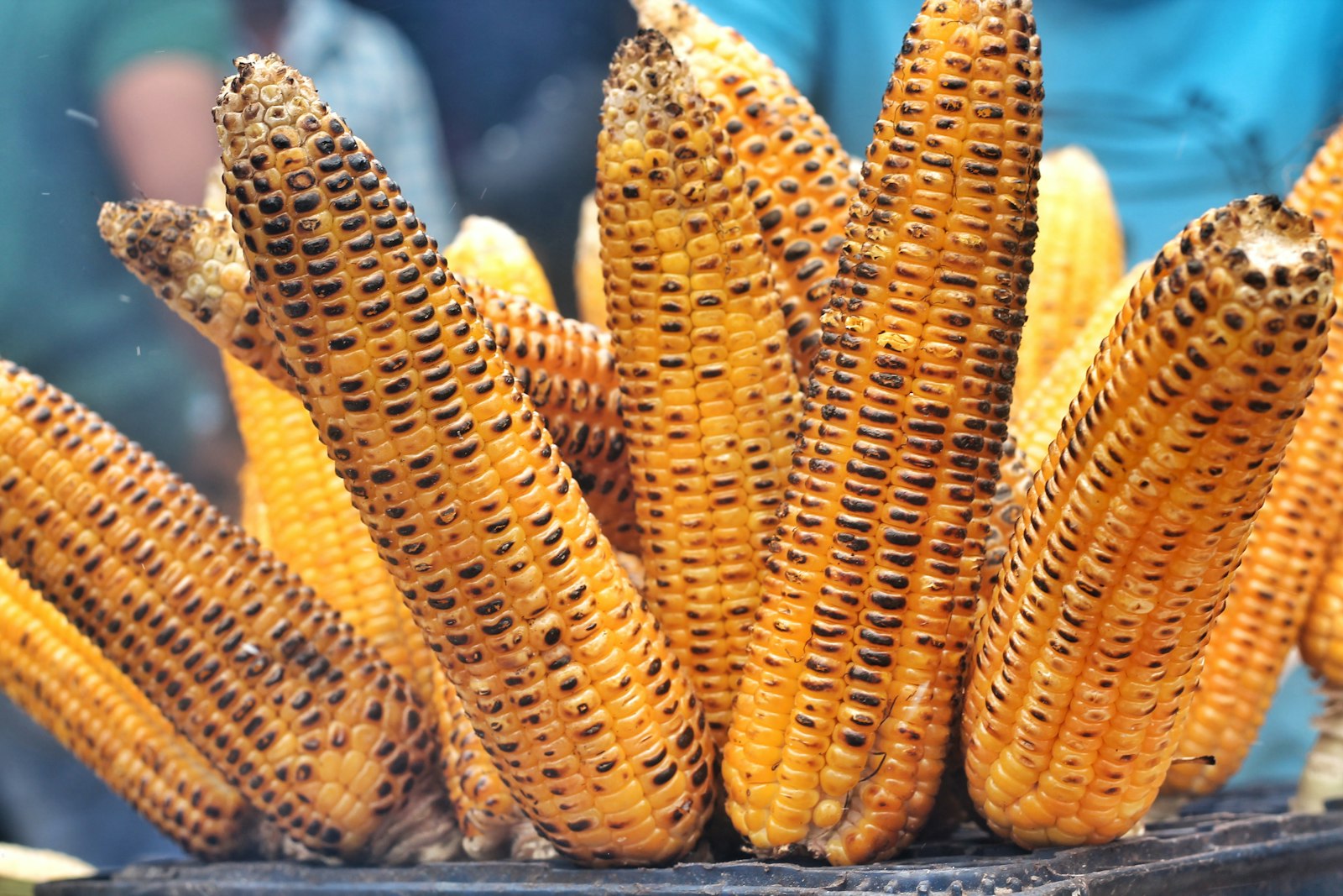 Grilled corn on the cob