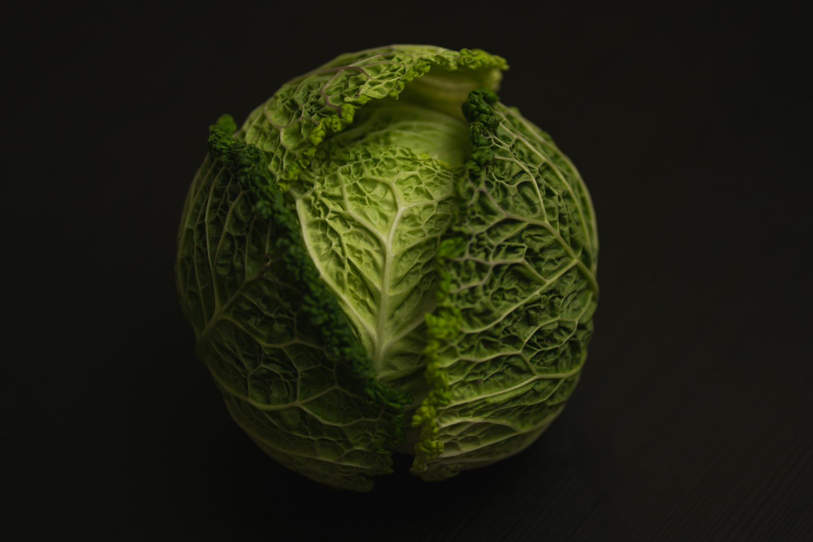 Head of savoy cabbage