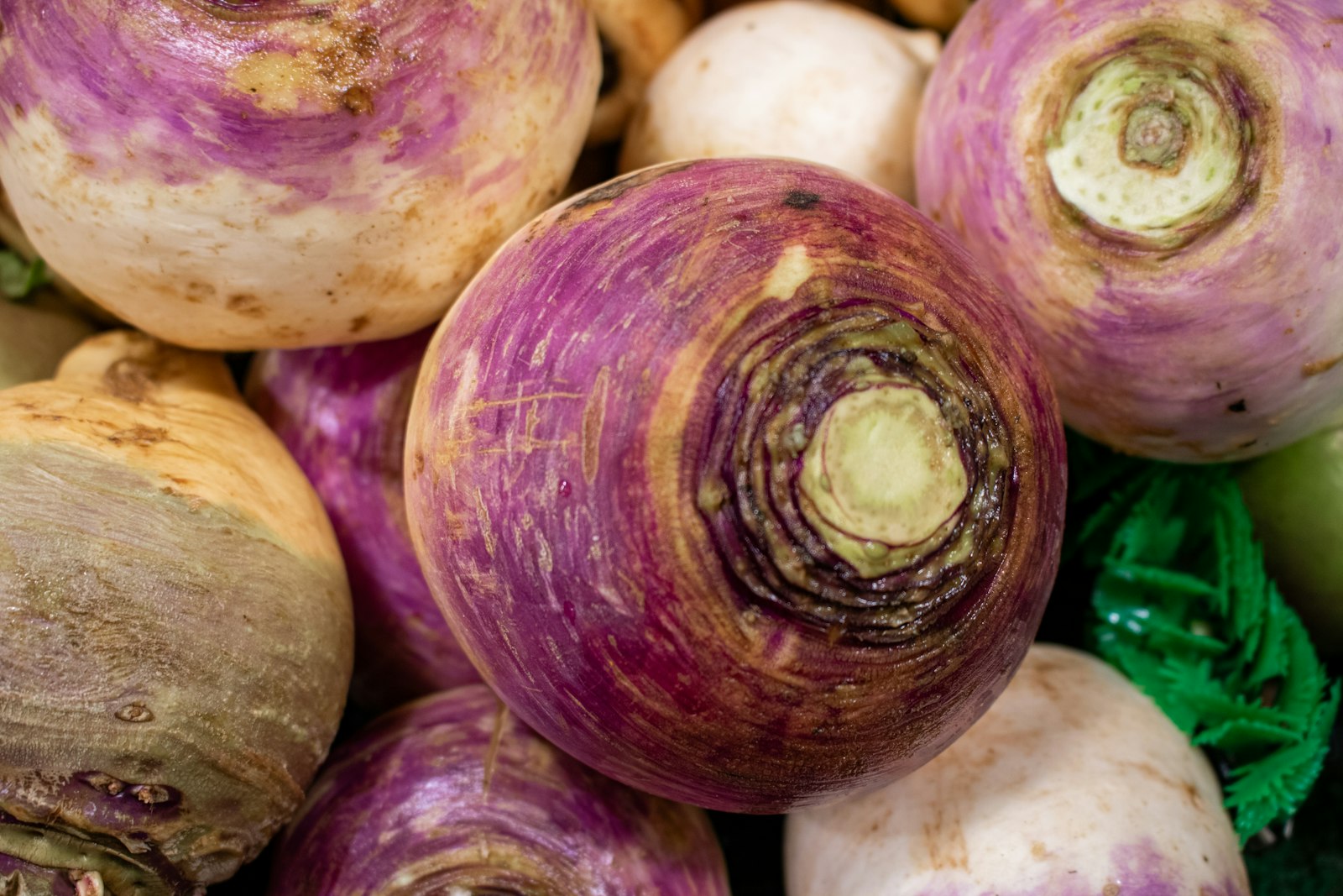 Purple-top turnips
