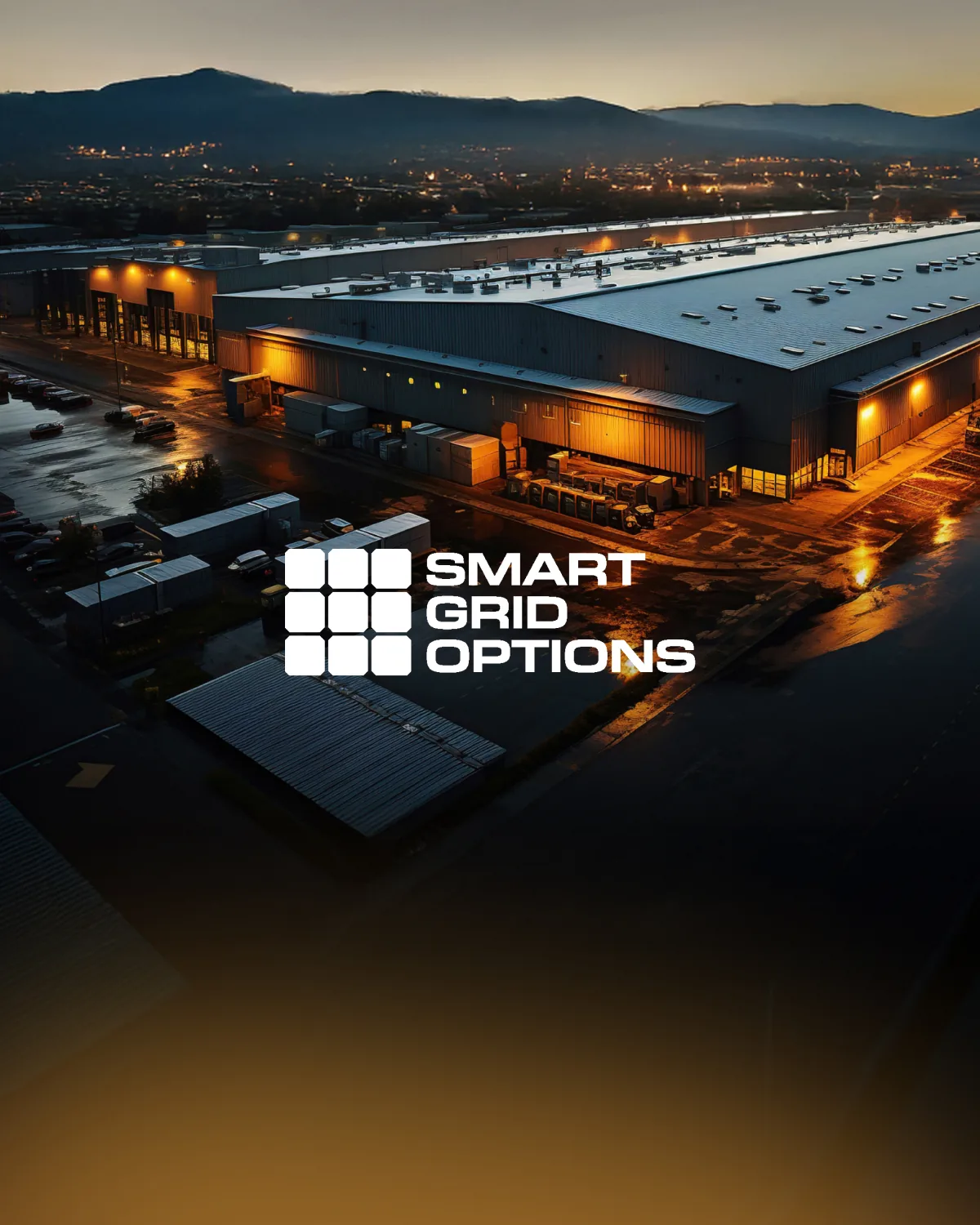 Smart Grid Options
