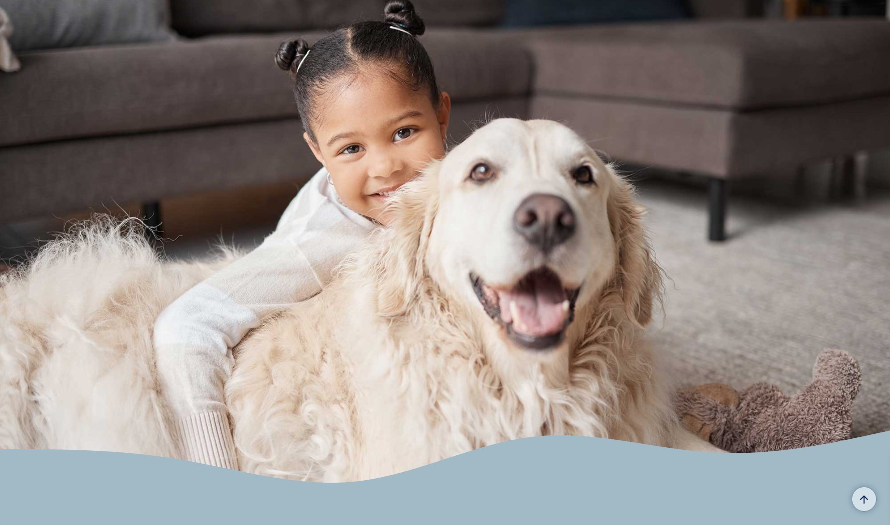 Palms & Paws site photo of a girl hugging a golden retriever, with the brand's wave edge