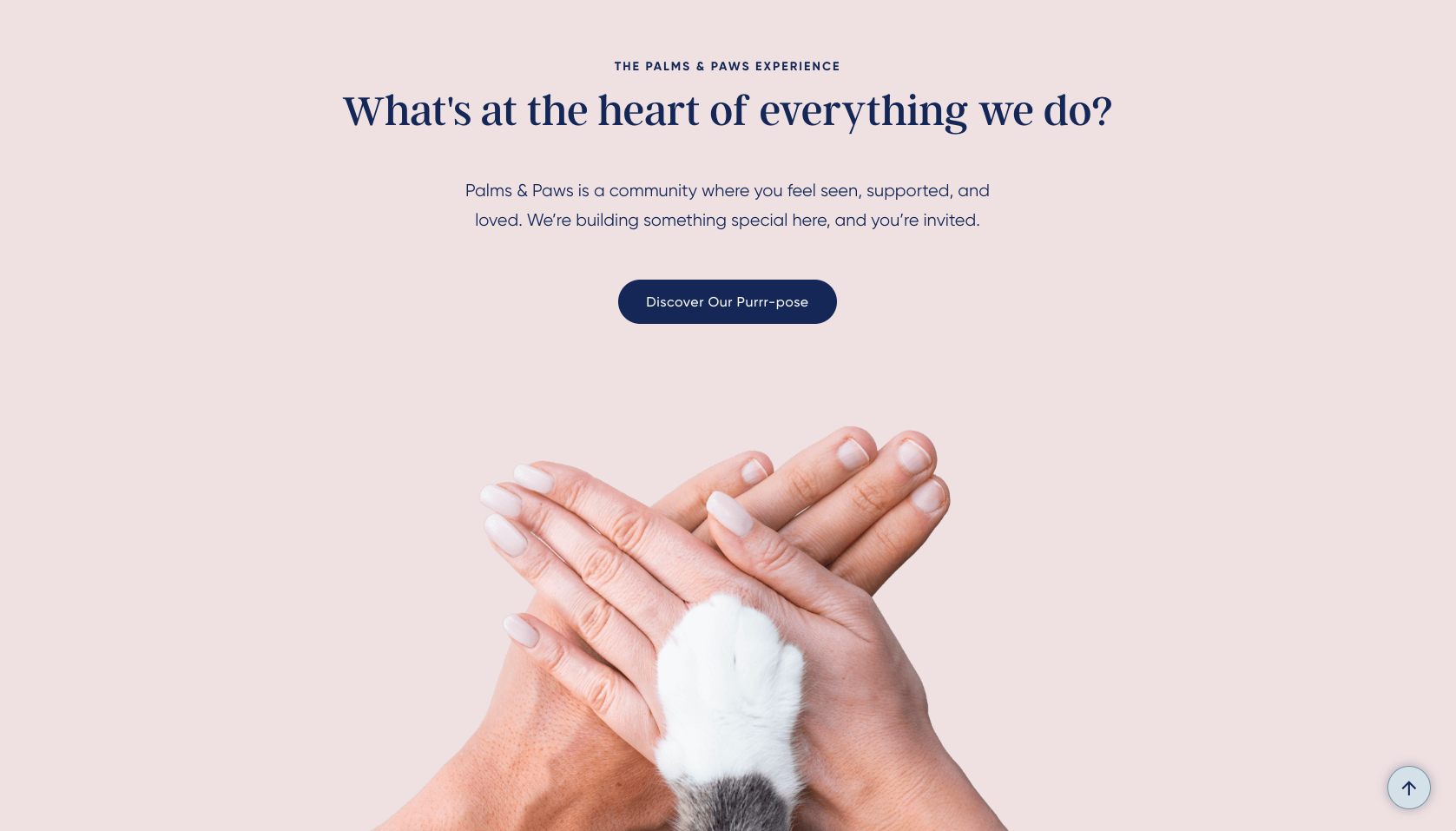 Palms & Paws Experience section: crossed hands with a cat's paw under the heading What's at the heart of everything we do?