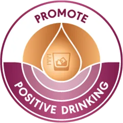 Diageo Promote Positive Drinking badge