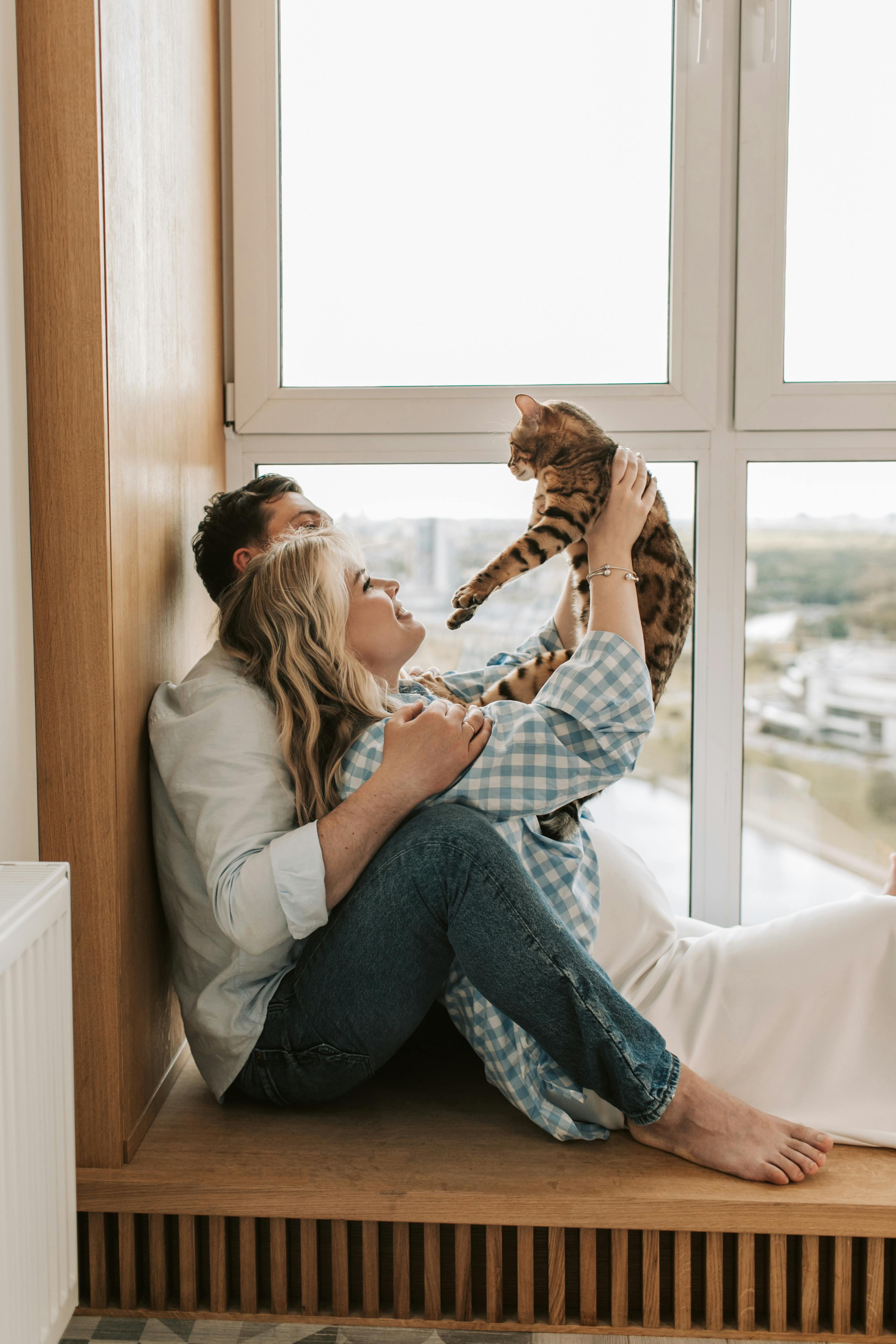 People holding cat stock image