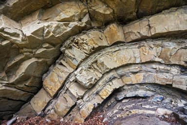 Close-up of rock formations showing layered sedimentary rocks with folds and fractures in earthy tones.