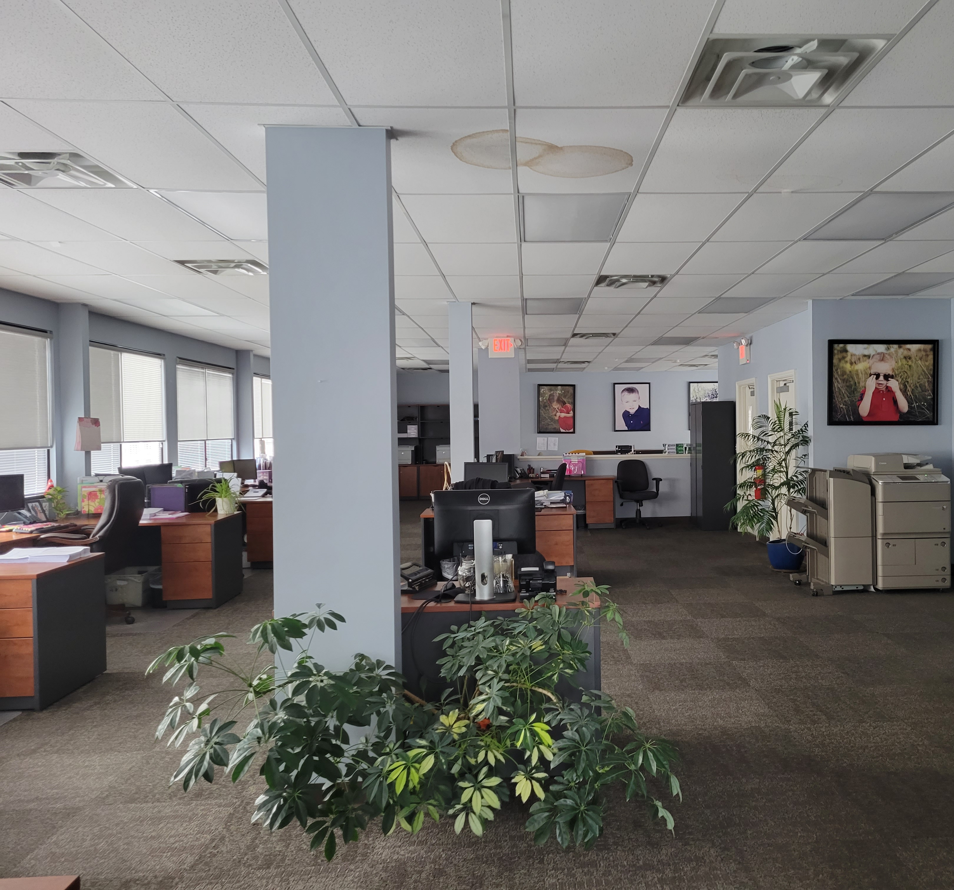 Open office with desks along the windows, plants and a copier