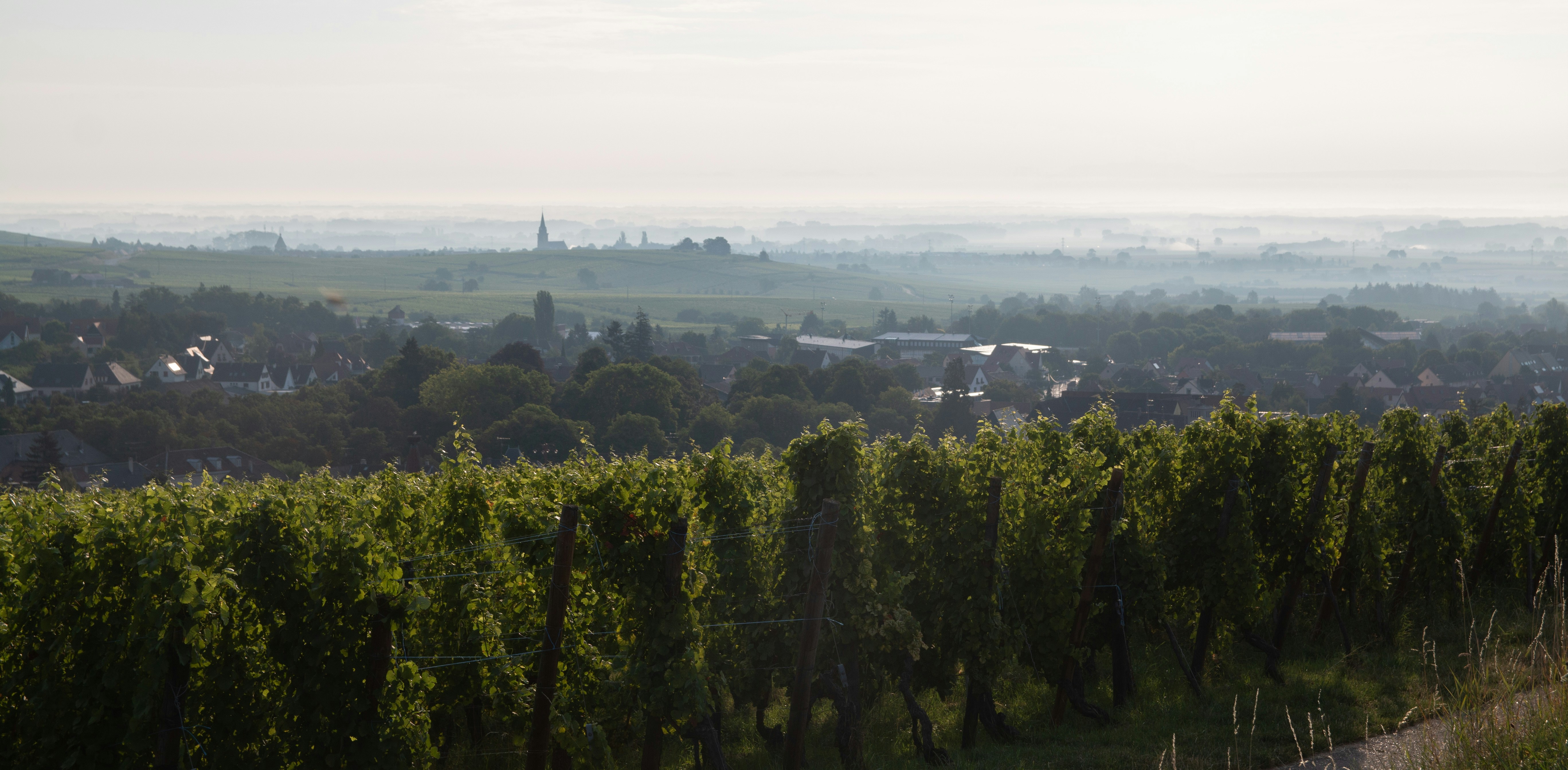 Alsace wine country in France