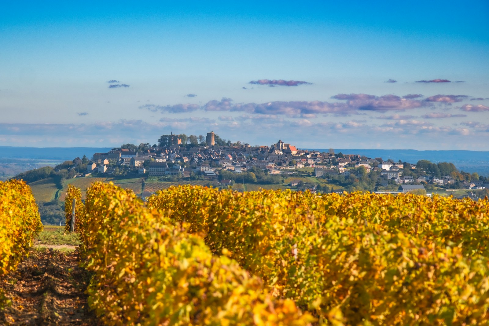 Loire Valley wine country in France