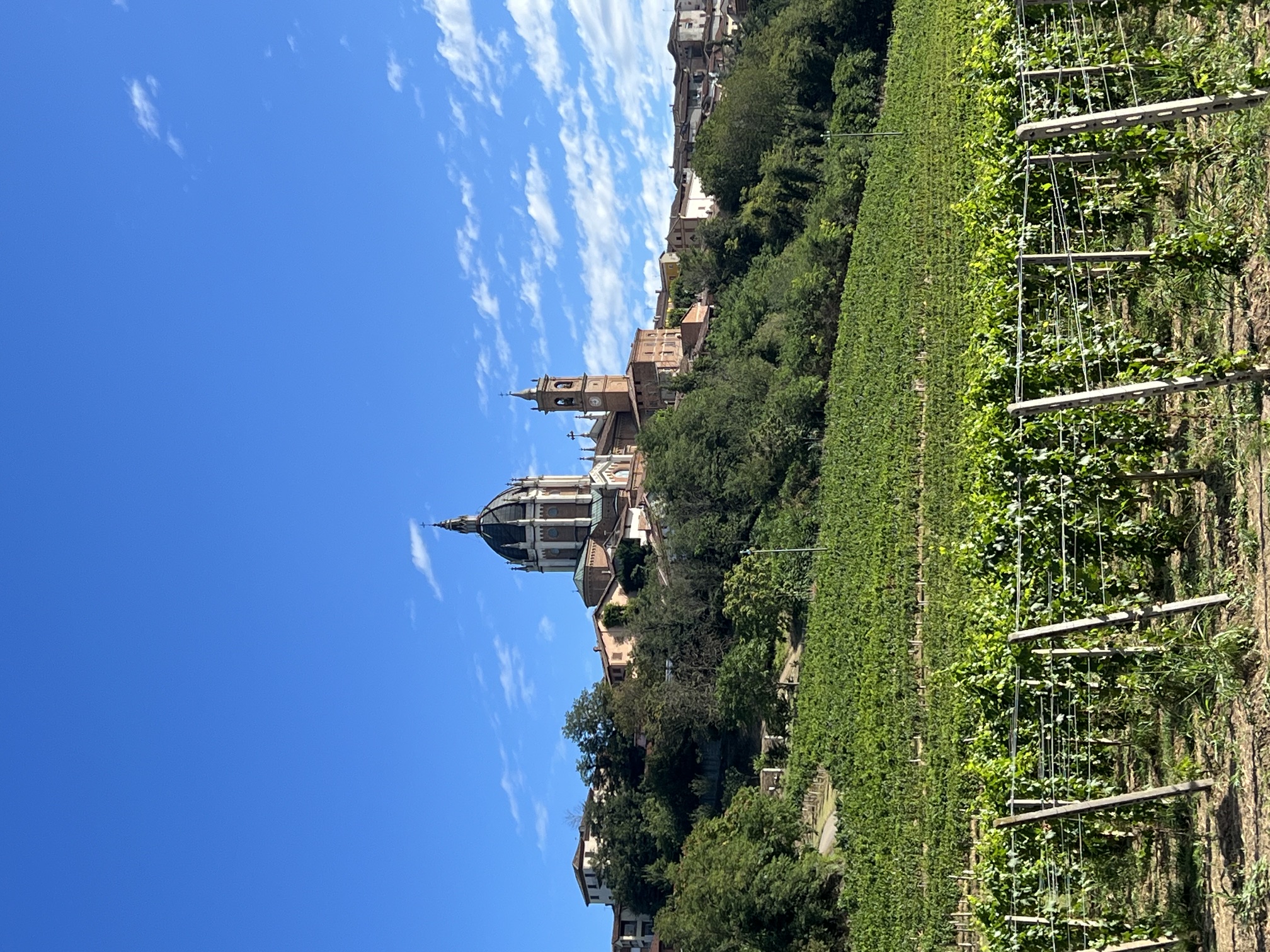 Fontanile and its church rising above the vineyards near Cascina Berchi