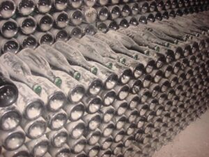 Rows of Champagne bottles ageing in a cellar