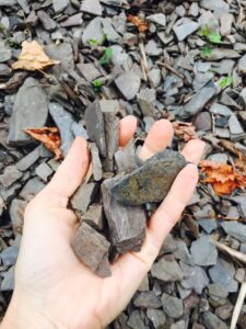 Slate stones held in a Mosel vineyard