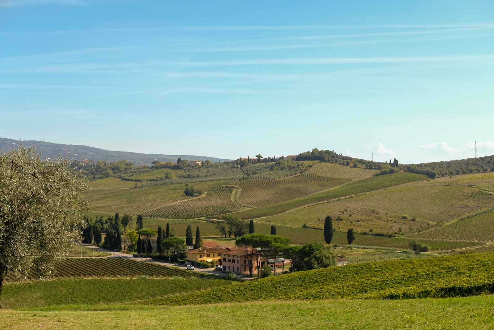 Rolling Tuscan hills and vineyards