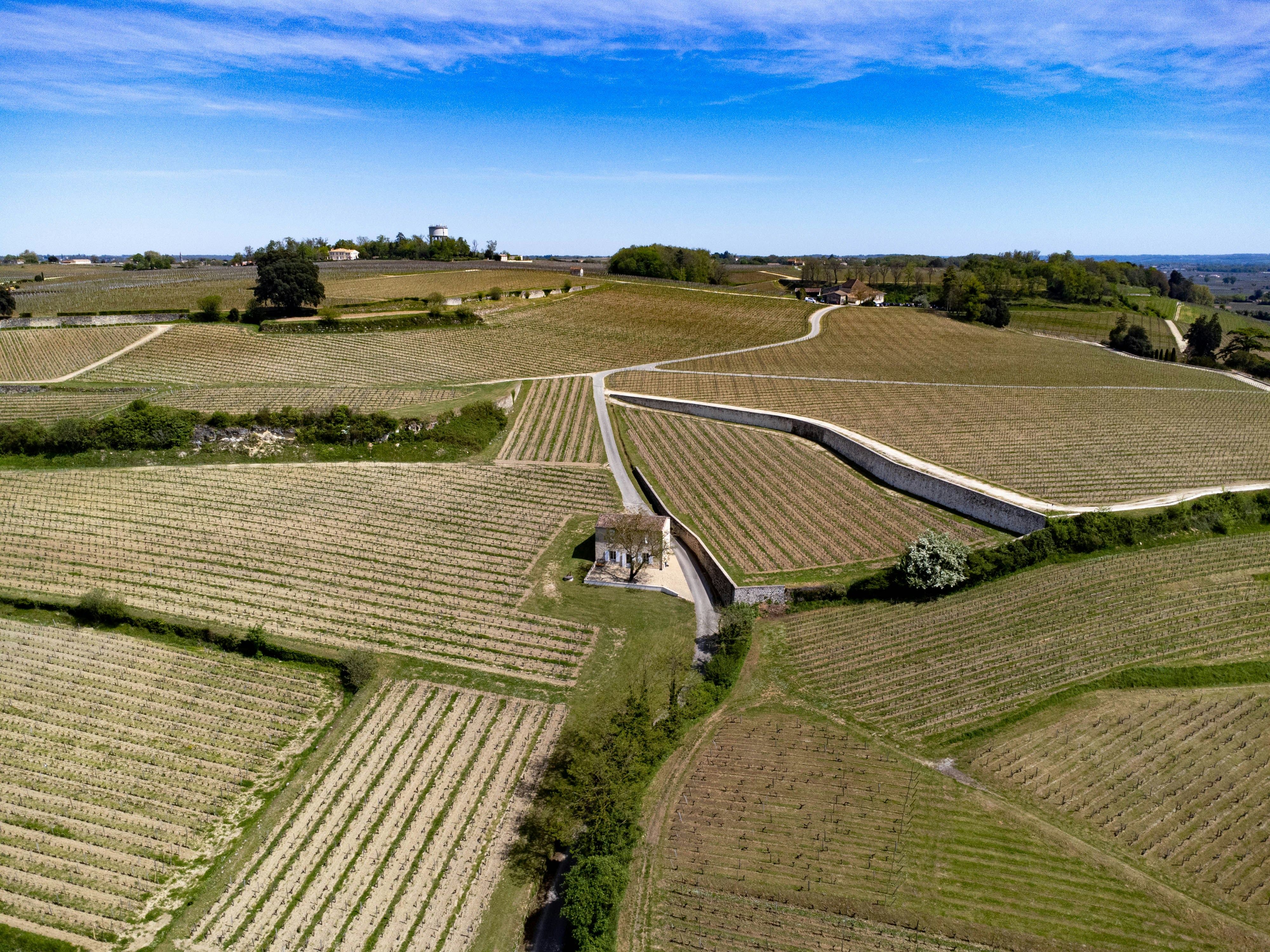 Saint-Émilion vineyards in Bordeaux, France