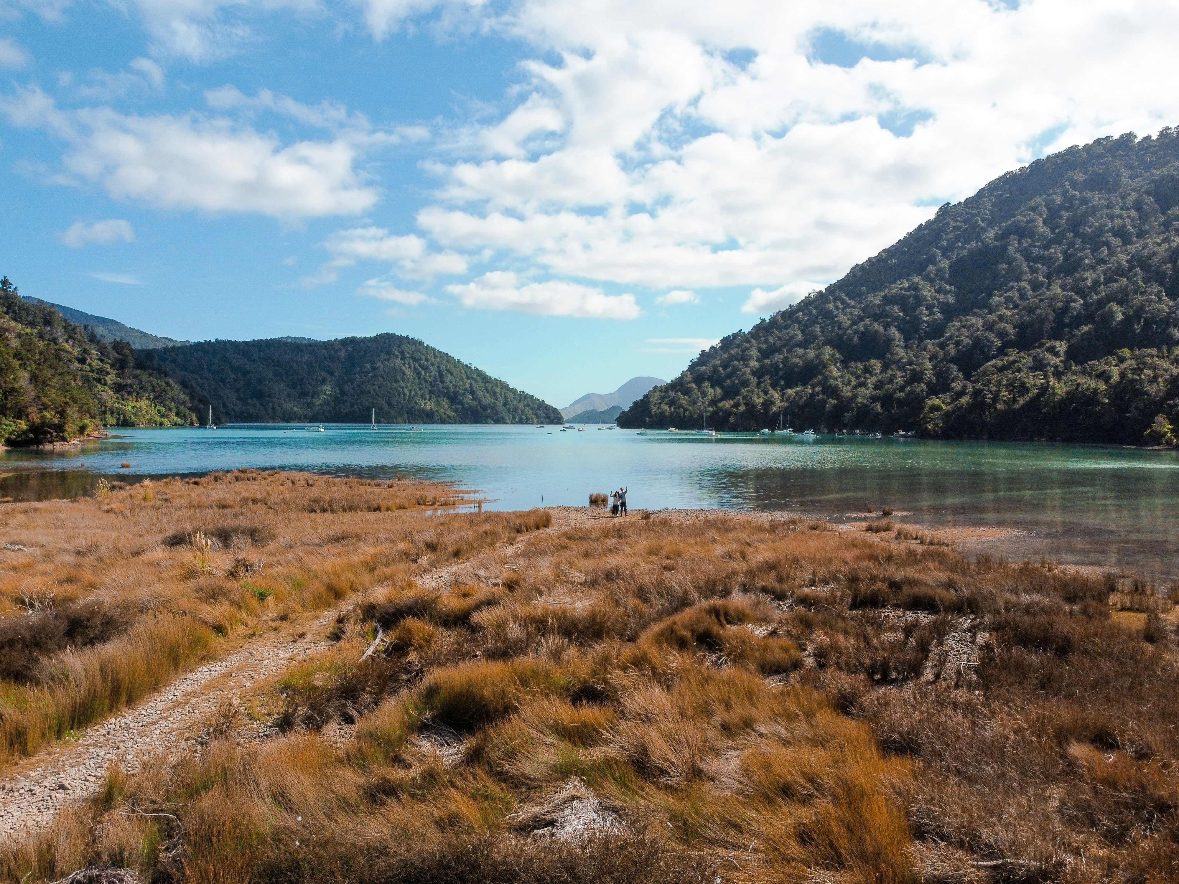 Marlborough landscape, New Zealand