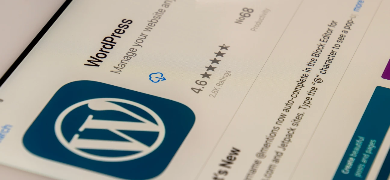 webflow vs wordpress illustratie