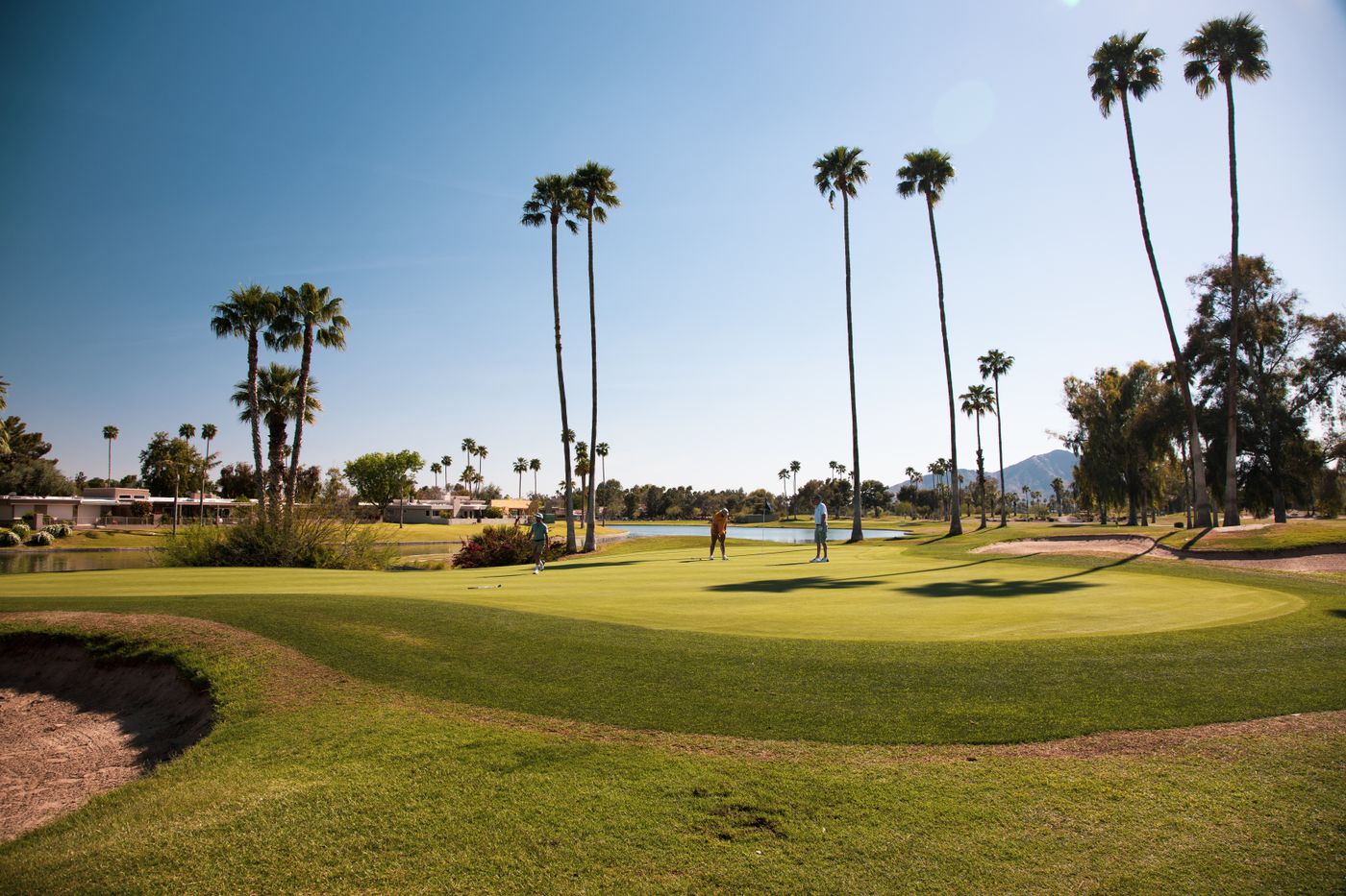 Palm-lined golf green with golfers in the distance