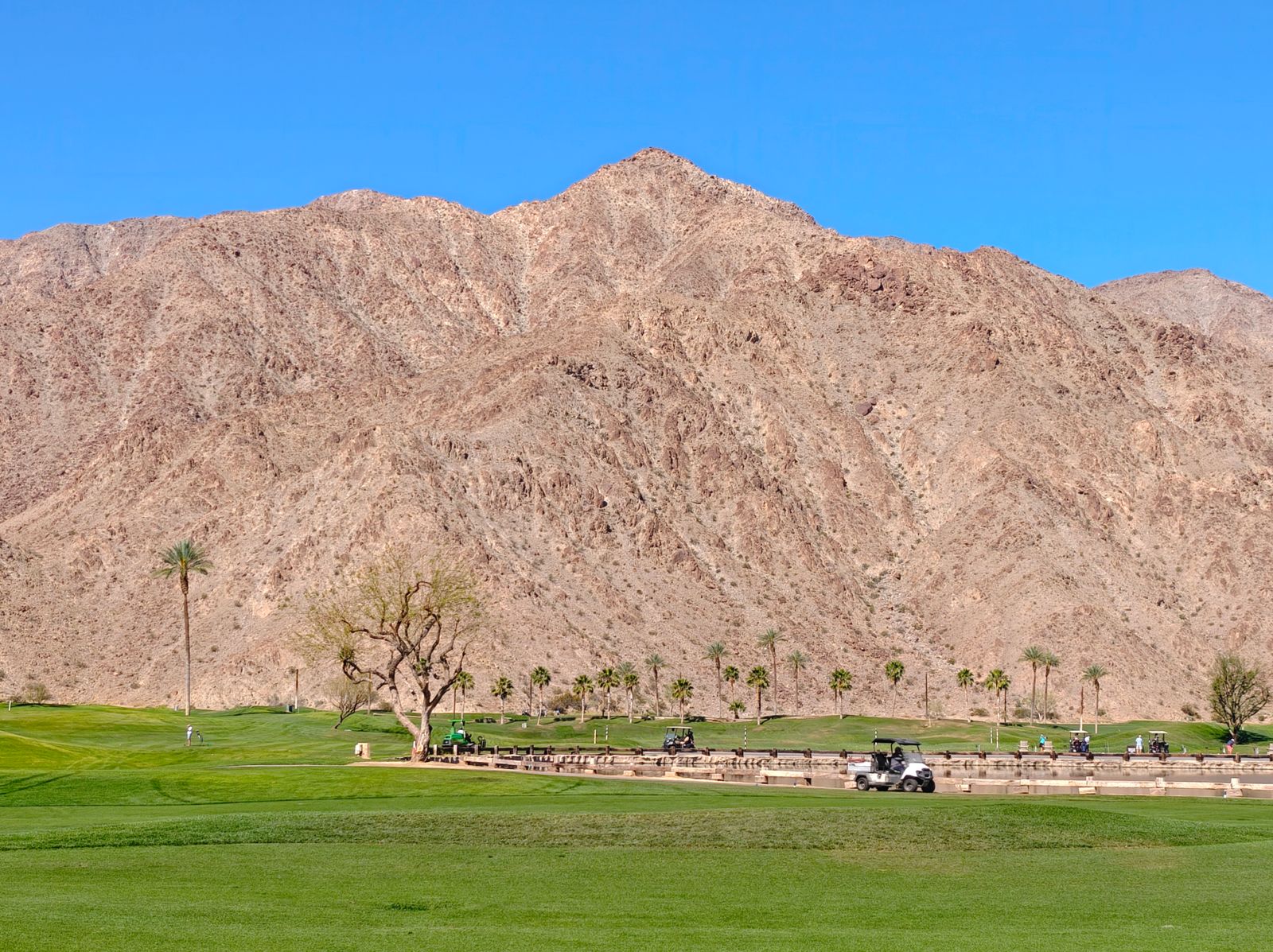 Desert golf course below a rocky mountain with palm trees