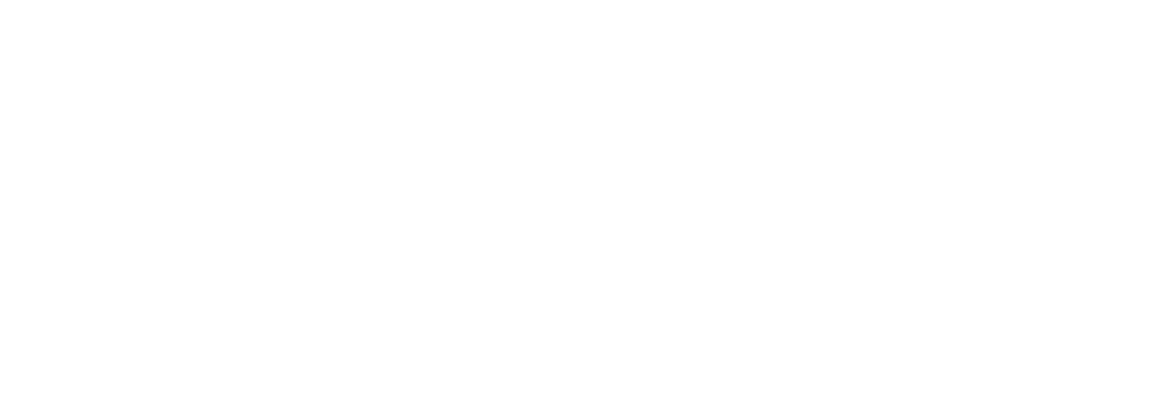 Campers Inn RV
