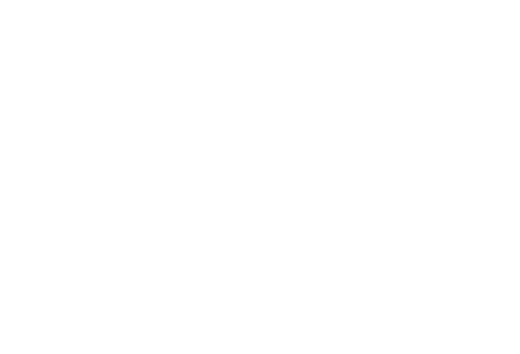 Spartan RV Chassis