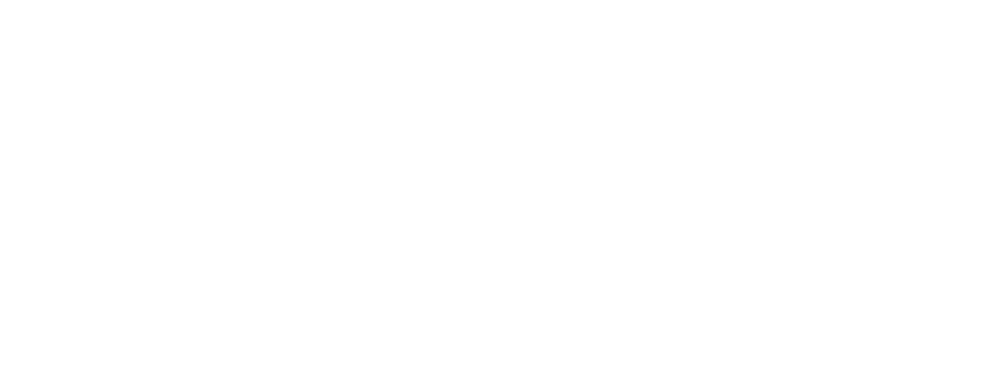 Sonic Automotive