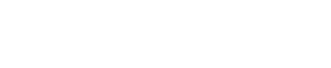 Lithia Motors