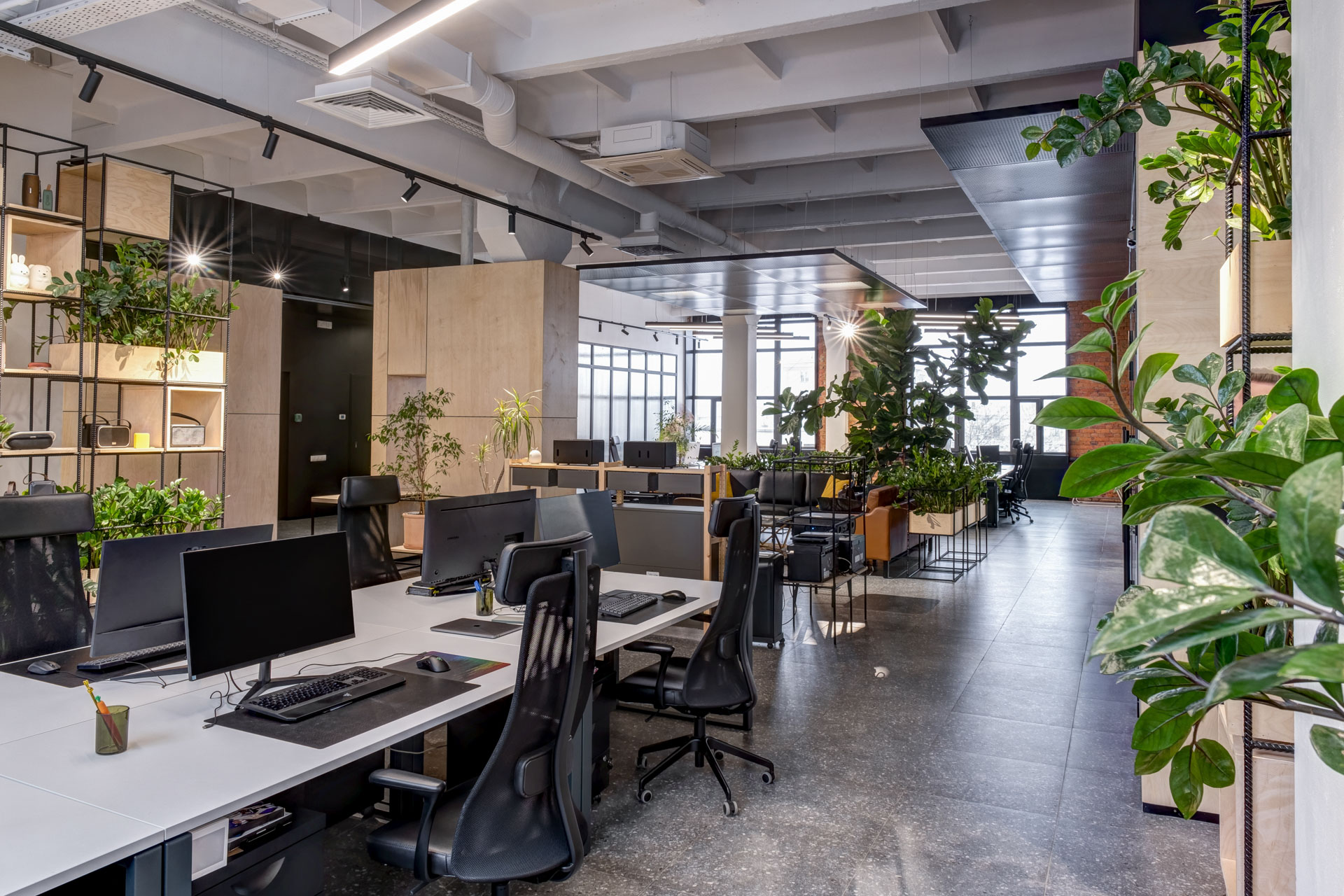 Open-plan office with desks, shelving and indoor plants