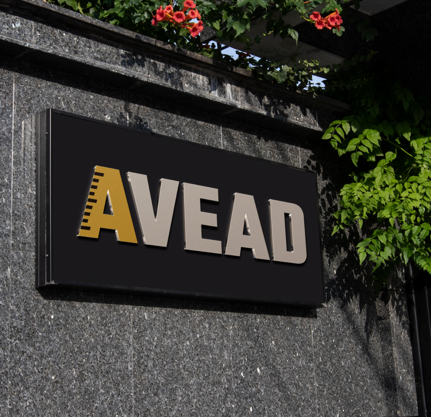 AVEAD — 2