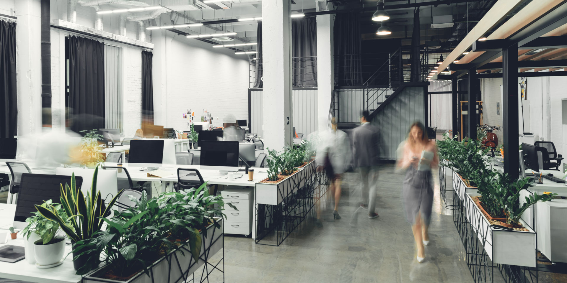 Commercial office cleaned by CleanCo