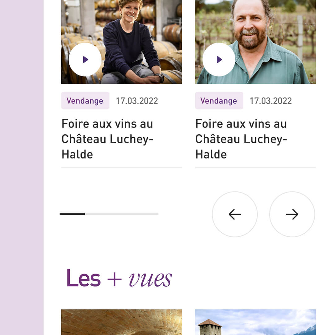 Terre de Vins