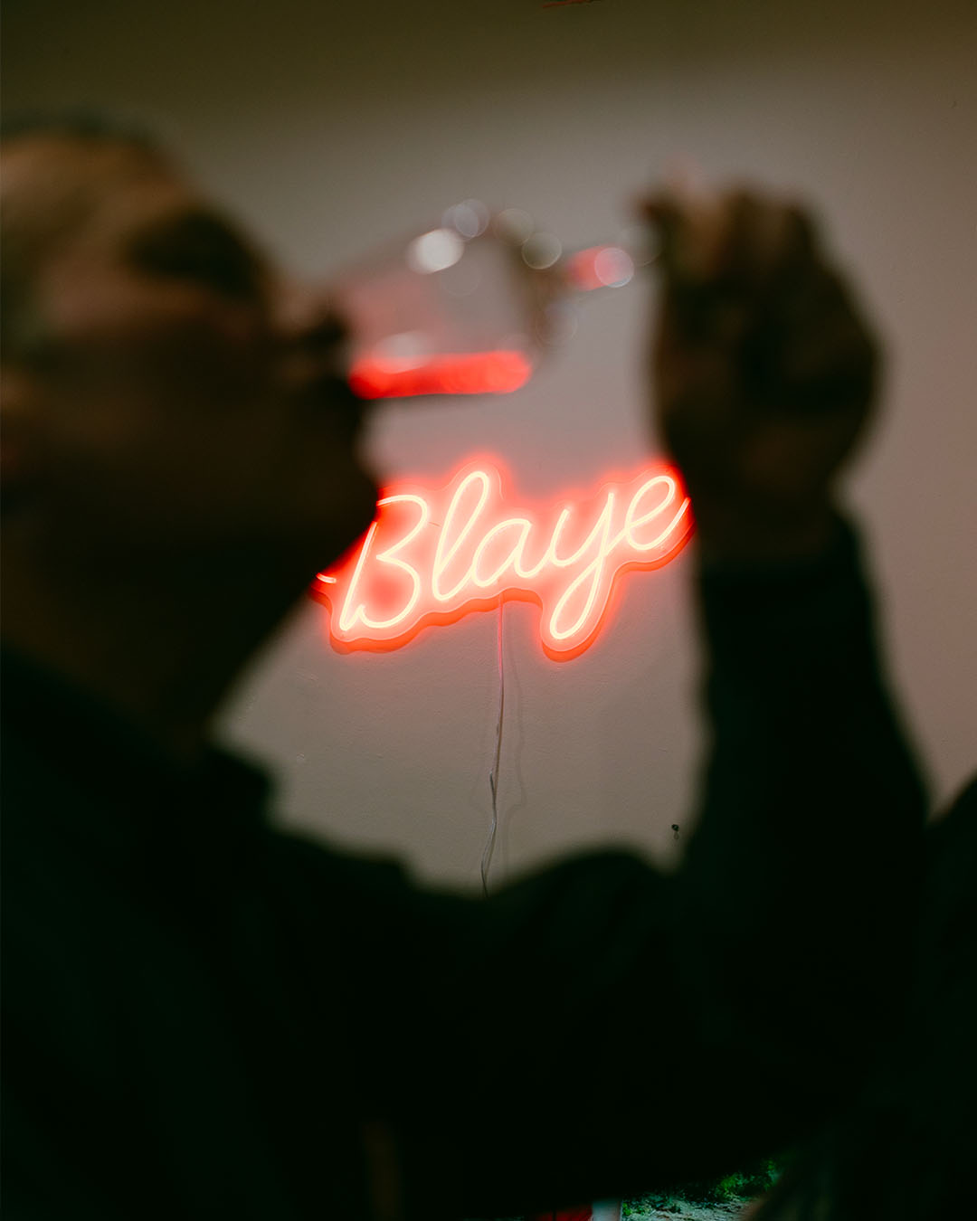 Vins de Blaye