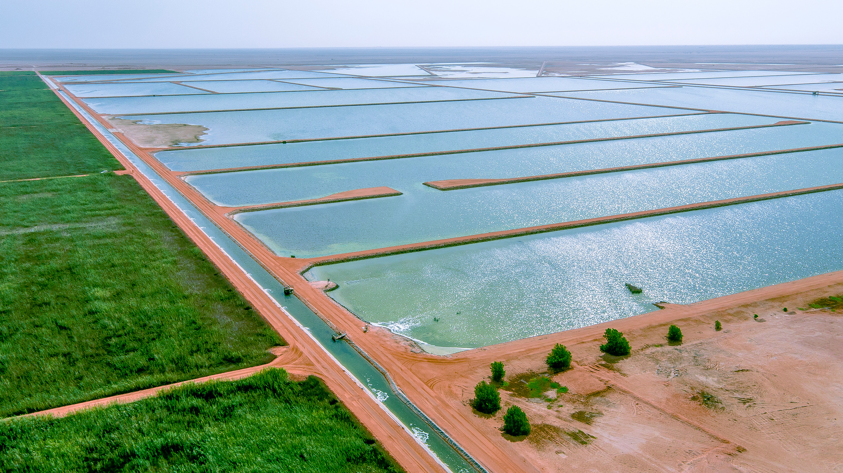 Aerial view of the green reed beds of the NIMR water treatment project in Oman
